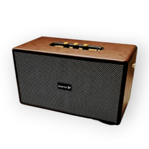 Haut-parleur Sans Fil ICONIX DELTA 01 - Marron