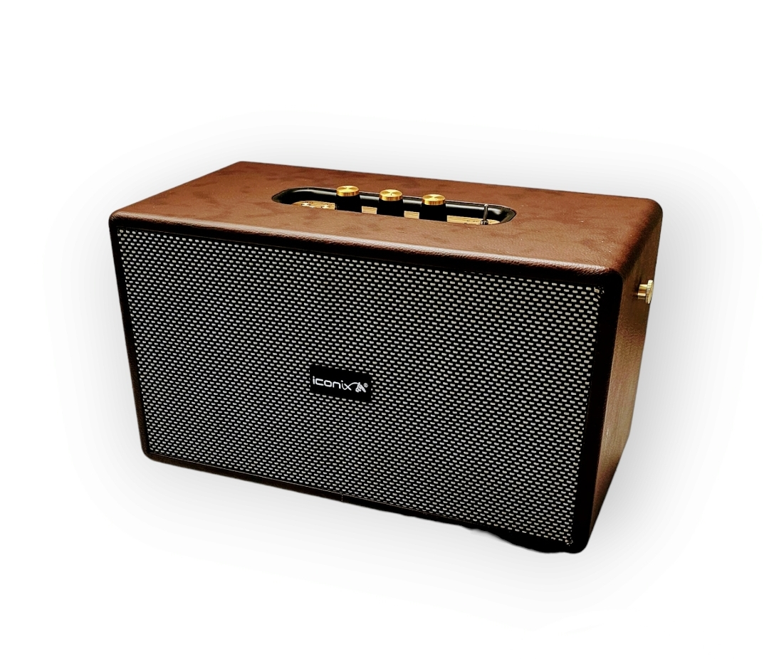 Haut-parleur Sans Fil ICONIX DELTA 01 - Marron