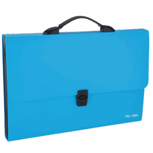 ORGANISER 13 COMPTA FC DELI / A4 / ASSORTIS