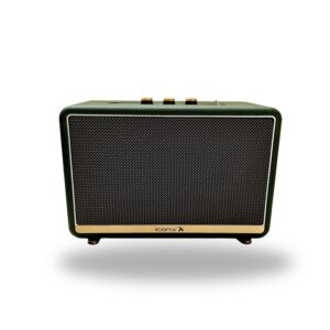 Haut-parleur Modèle DELTA-02