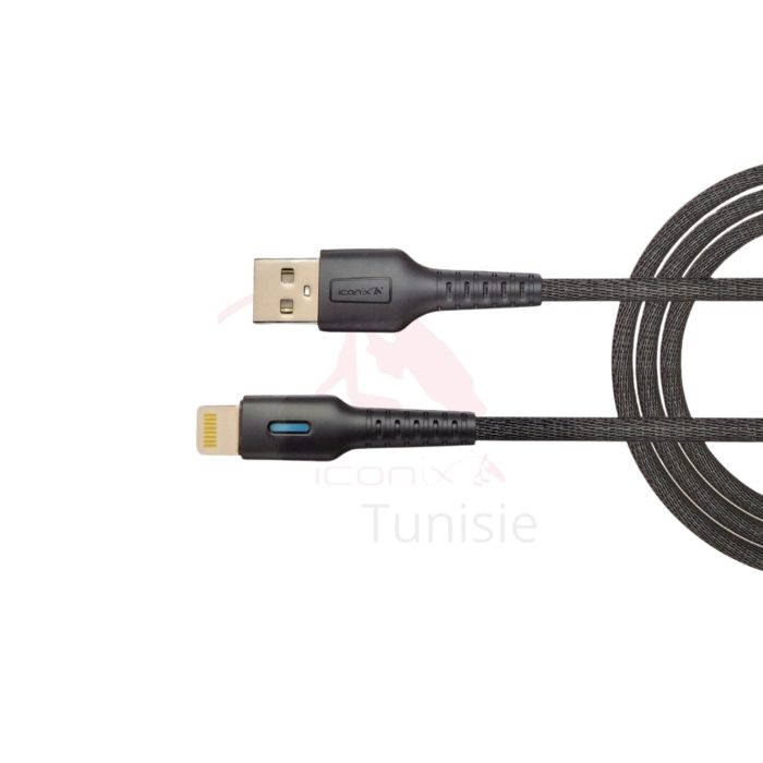 Câble de charge Modèles USB – Iphon IC-UC1637  Micro-USB