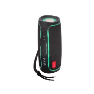 Haut-parleur Modèle IC-BS1341 - Noir