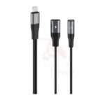 Adaptateur Lightning double modèle IC-AX2214