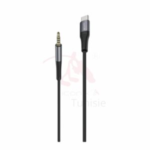 Convertisseur auxiliaire de type modèle IC-AX2217