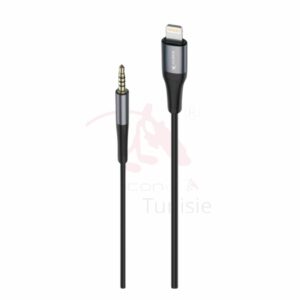 Convertisseur auxiliaire Iphone vers 3,5 mm, modèle IC-AX2216