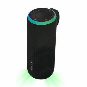 HAUT-PARLEUR SANS FIL Modèle : IC-BS1344 - Noir