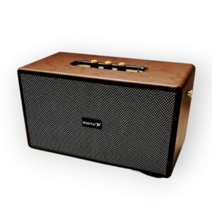 Haut-parleur Modèle DELTA-01